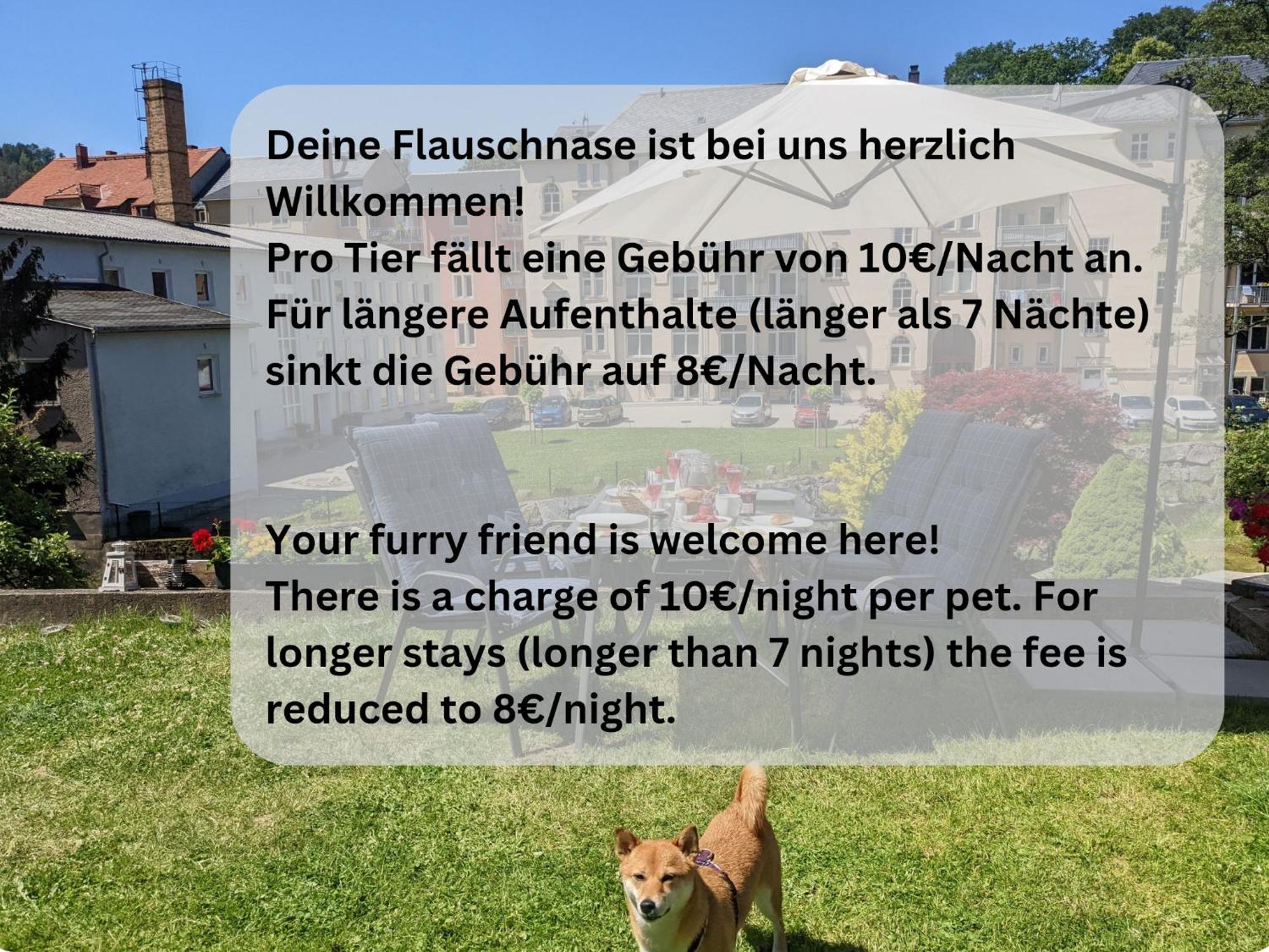 F2 - Urlaubsmagie Sauna, Whirlpool, Pool & Garten เซบนิทซ์ ภายนอก รูปภาพ